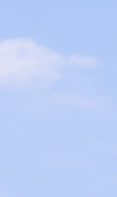 YL200097