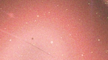 Cancer Artists_Chayanne_Yailin La Más Viral