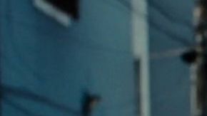 Come to Brasil film still