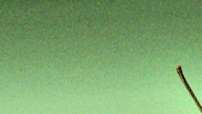 header-cocktails-