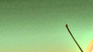 header-cocktails-