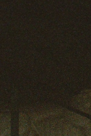 Feid