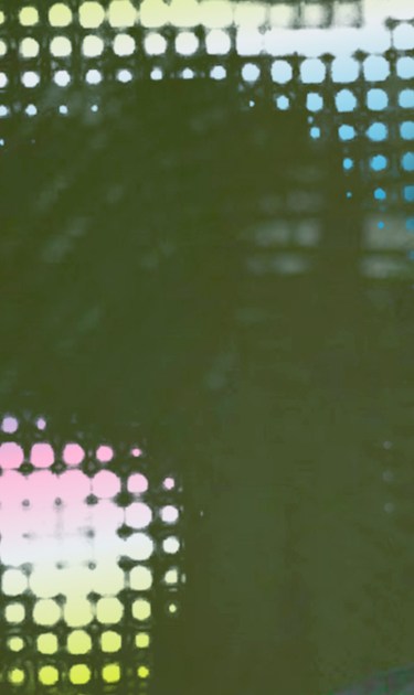 header-chef-daniela-soto