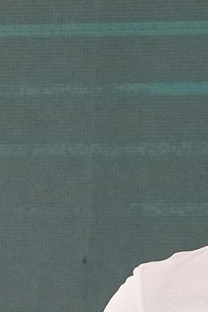 mexico-antitrust-investigation