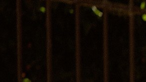 header-carla-morrison