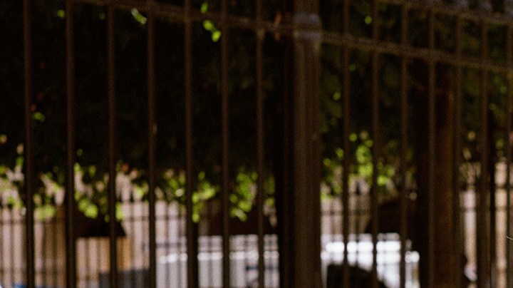 header-carla-morrison