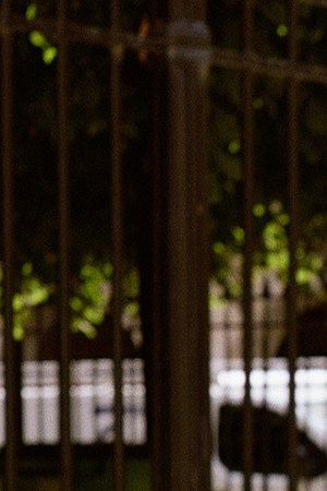 header-carla-morrison
